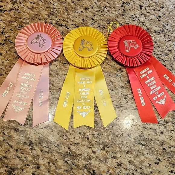 3 Vintage 1965 American Saddle Bred Tennessee Walker horse show rosettes ribbons - Picture 1 of 14